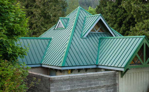 Best Roof Moss and Algae Removal  in Riverwoods, IL